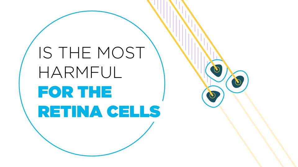 ESSILOR / Did You Know ?